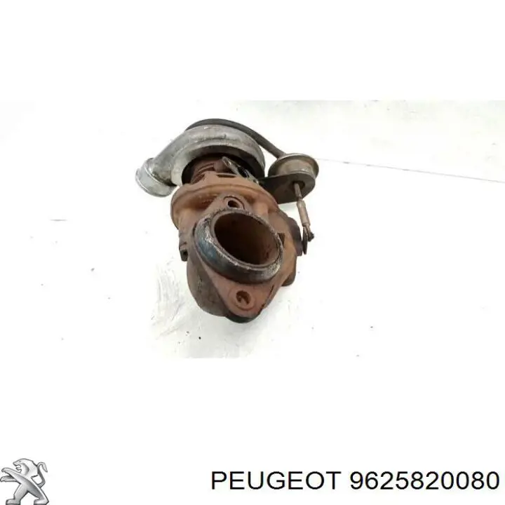 9625820080 Peugeot/Citroen Турбонаддув