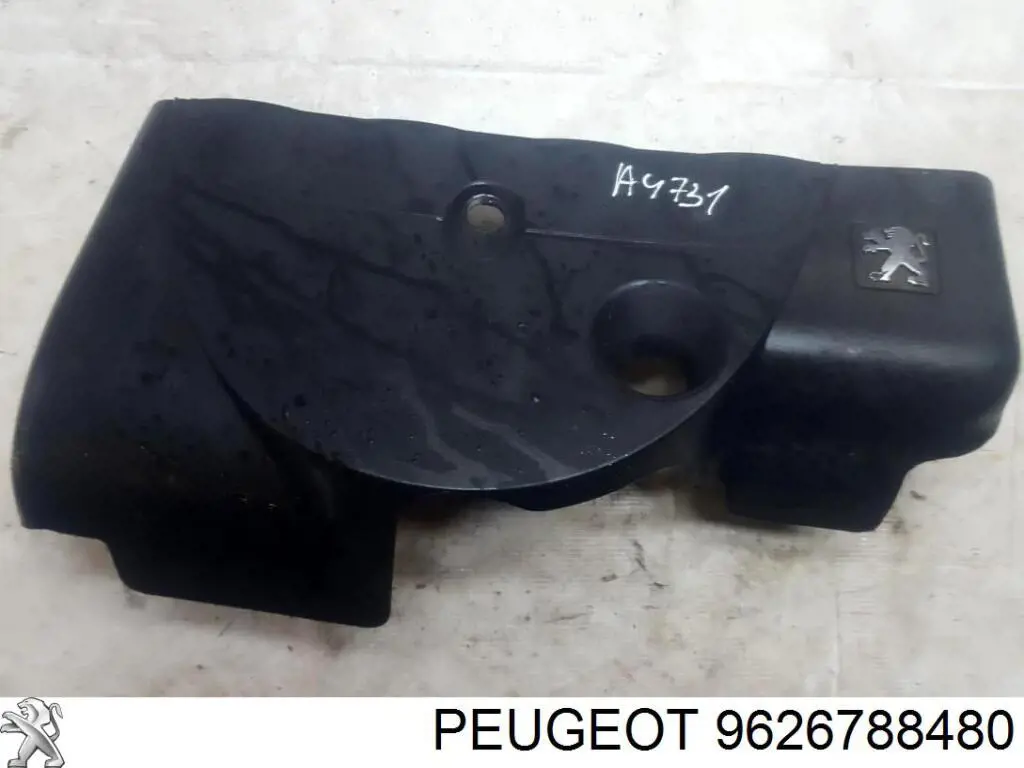 9626788480 Peugeot/Citroen 