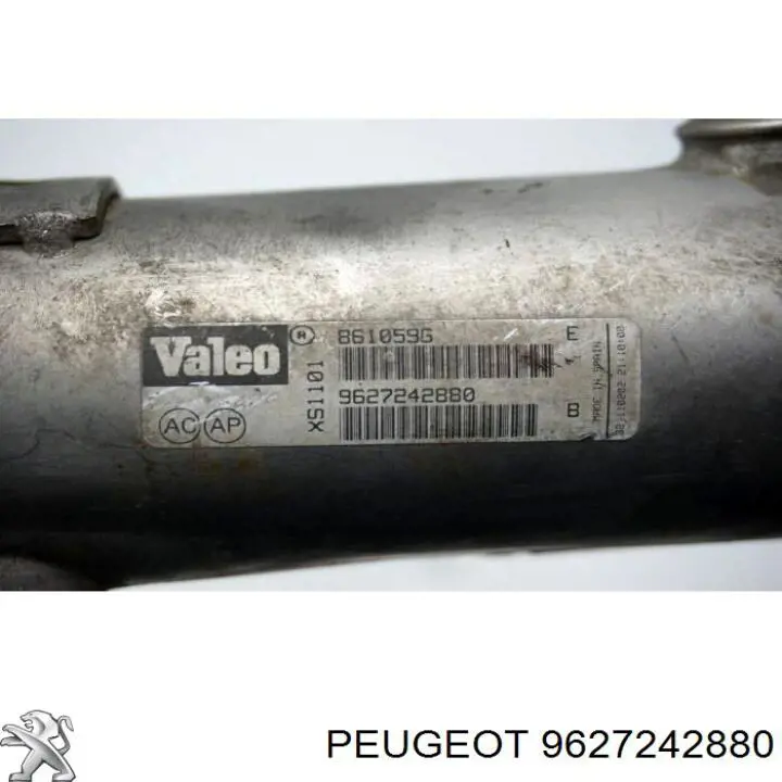 9627242880 Peugeot/Citroen 