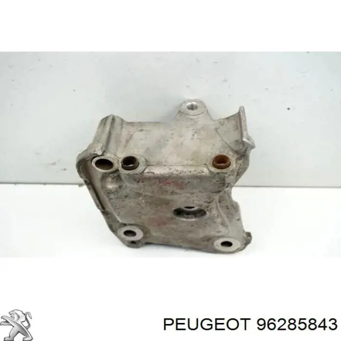 96285843 Peugeot/Citroen 