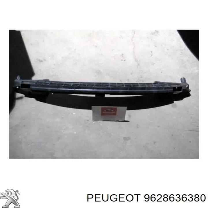 Купити 9628636380 Peugeot/Citroen 