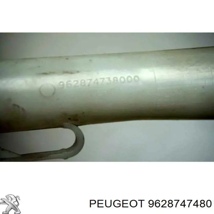 Купити 9628747480 Peugeot/Citroen 