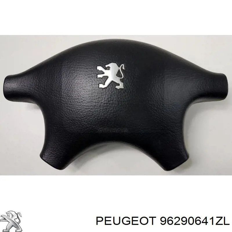 96290641ZL Peugeot/Citroen 