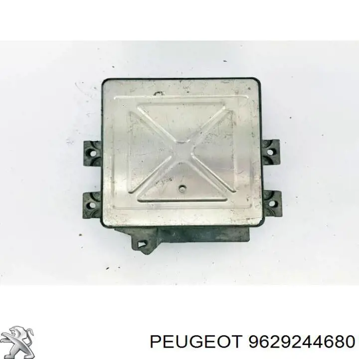9629244680 Peugeot/Citroen 