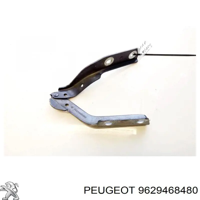 Купити 791258 Peugeot/Citroen Шарнір капота лівий
