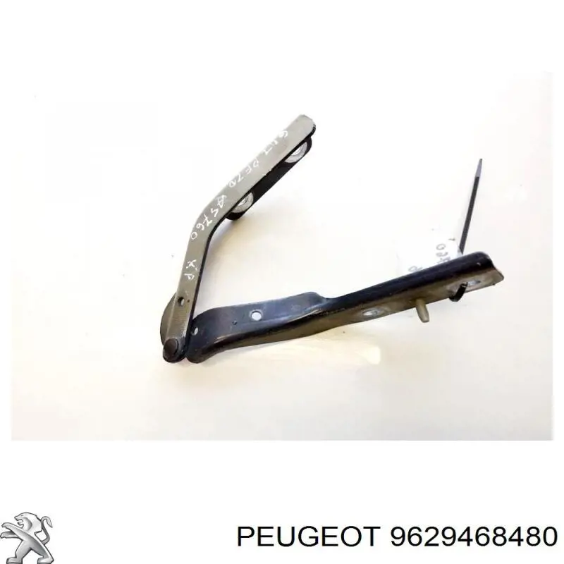 791258 Peugeot/Citroen Завіс капота, лівий
