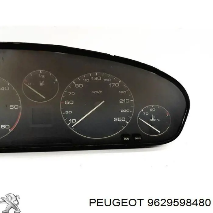  9629598480 Peugeot/Citroen