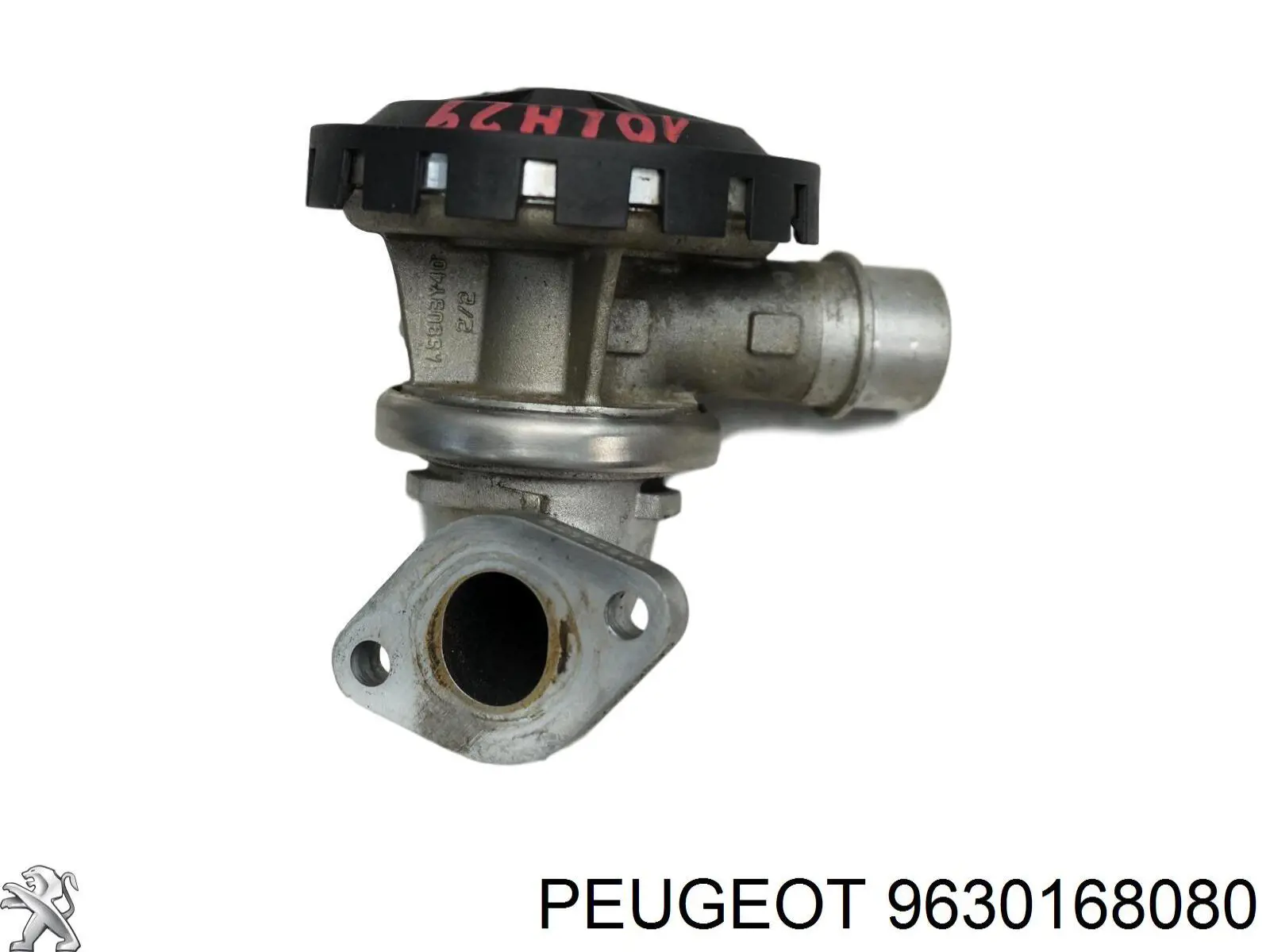 9630168080 Peugeot/Citroen 