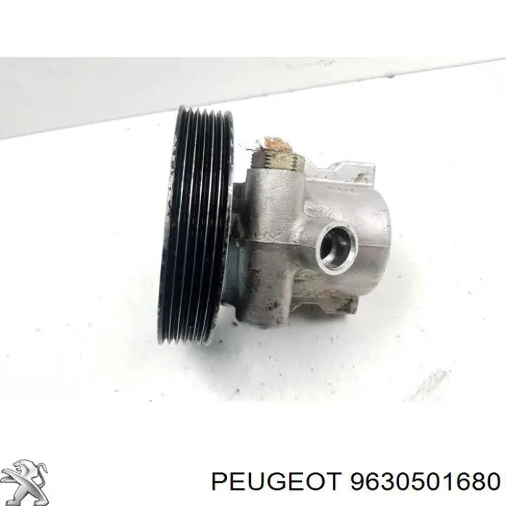 9630501680 Peugeot/Citroen 