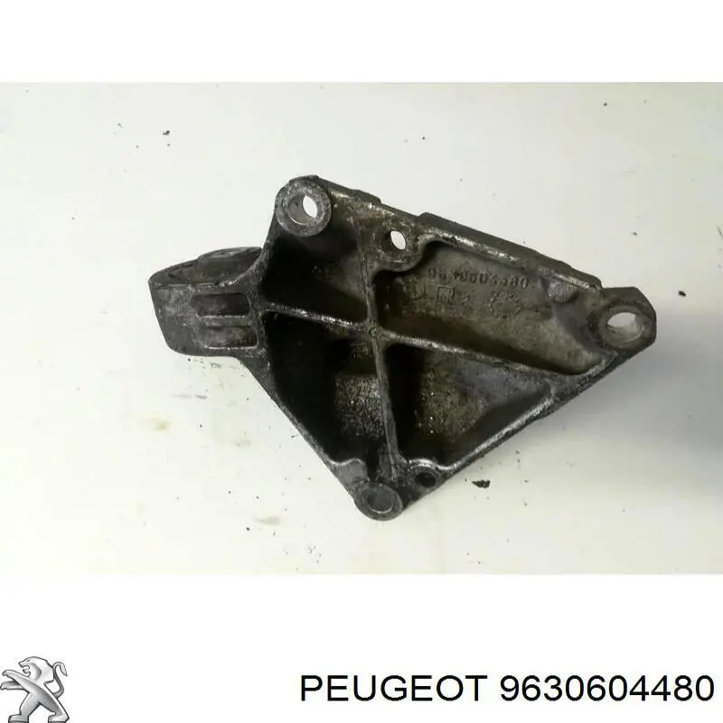  9630604480 Peugeot/Citroen