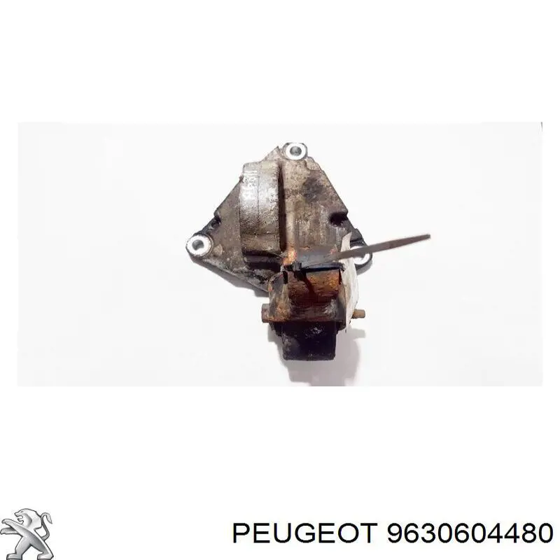 Купити 9630604480 Peugeot/Citroen 