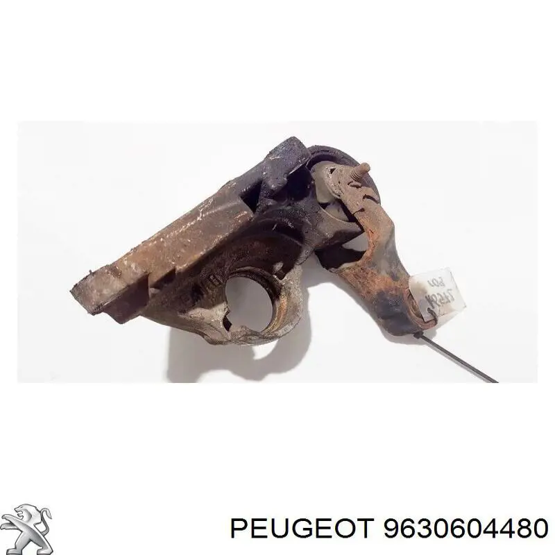 9630604480 Peugeot/Citroen 