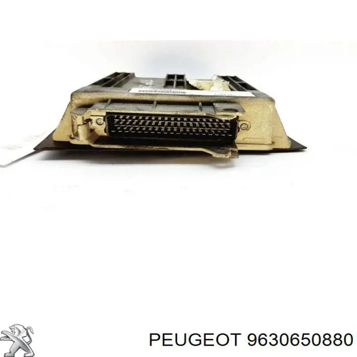  9630650880 Peugeot/Citroen