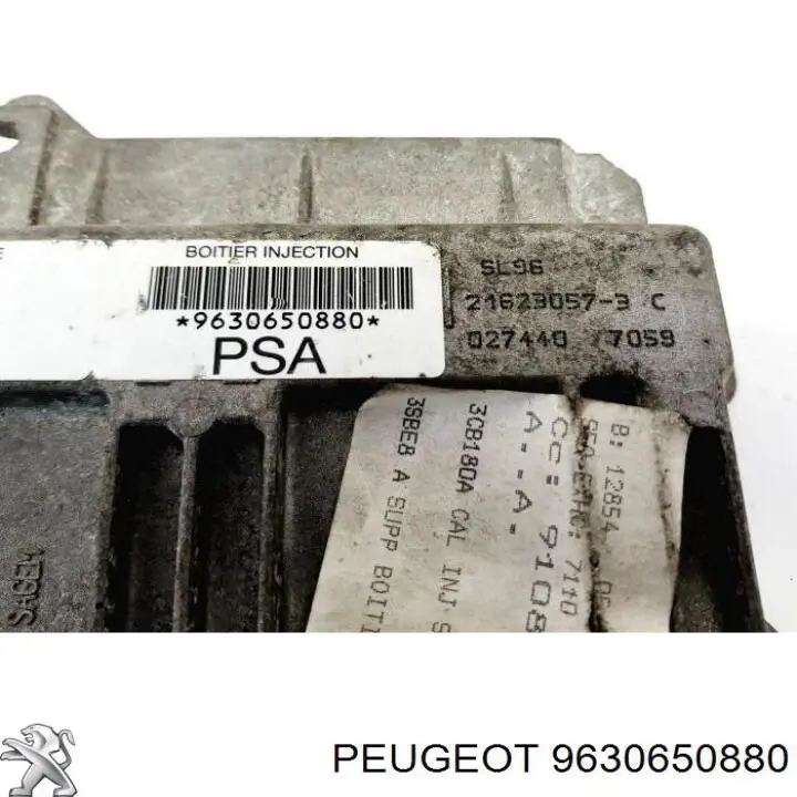 9630650880 Peugeot/Citroen 