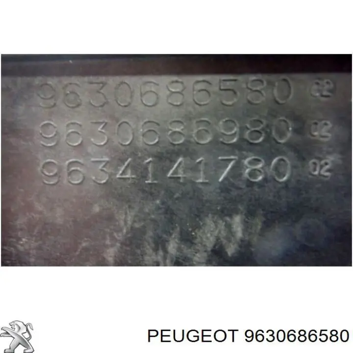 9630686580 Peugeot/Citroen 