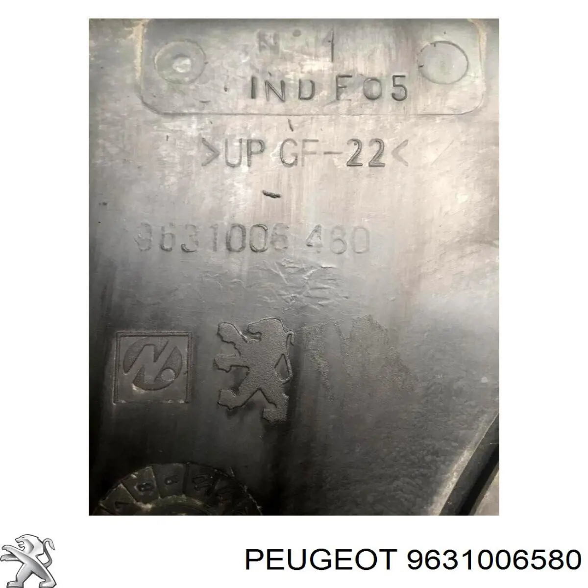 9631006580 Peugeot/Citroen 