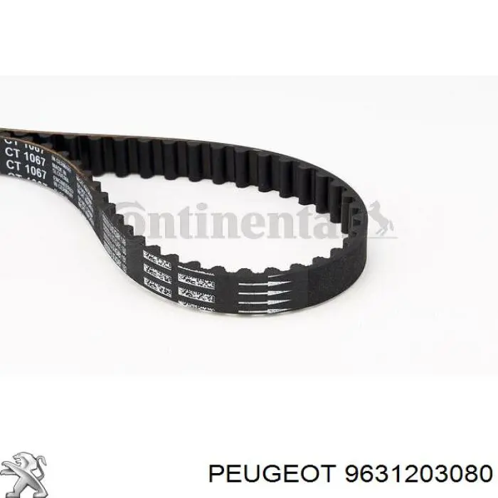 Купити 9631203080 Peugeot/Citroen Ремінь газорозподільного механізму