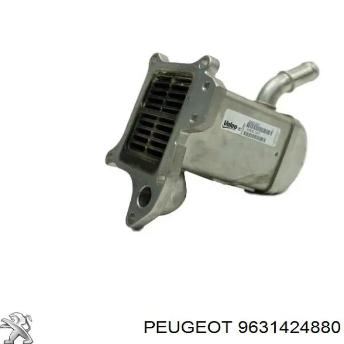 9631424880 Peugeot/Citroen 