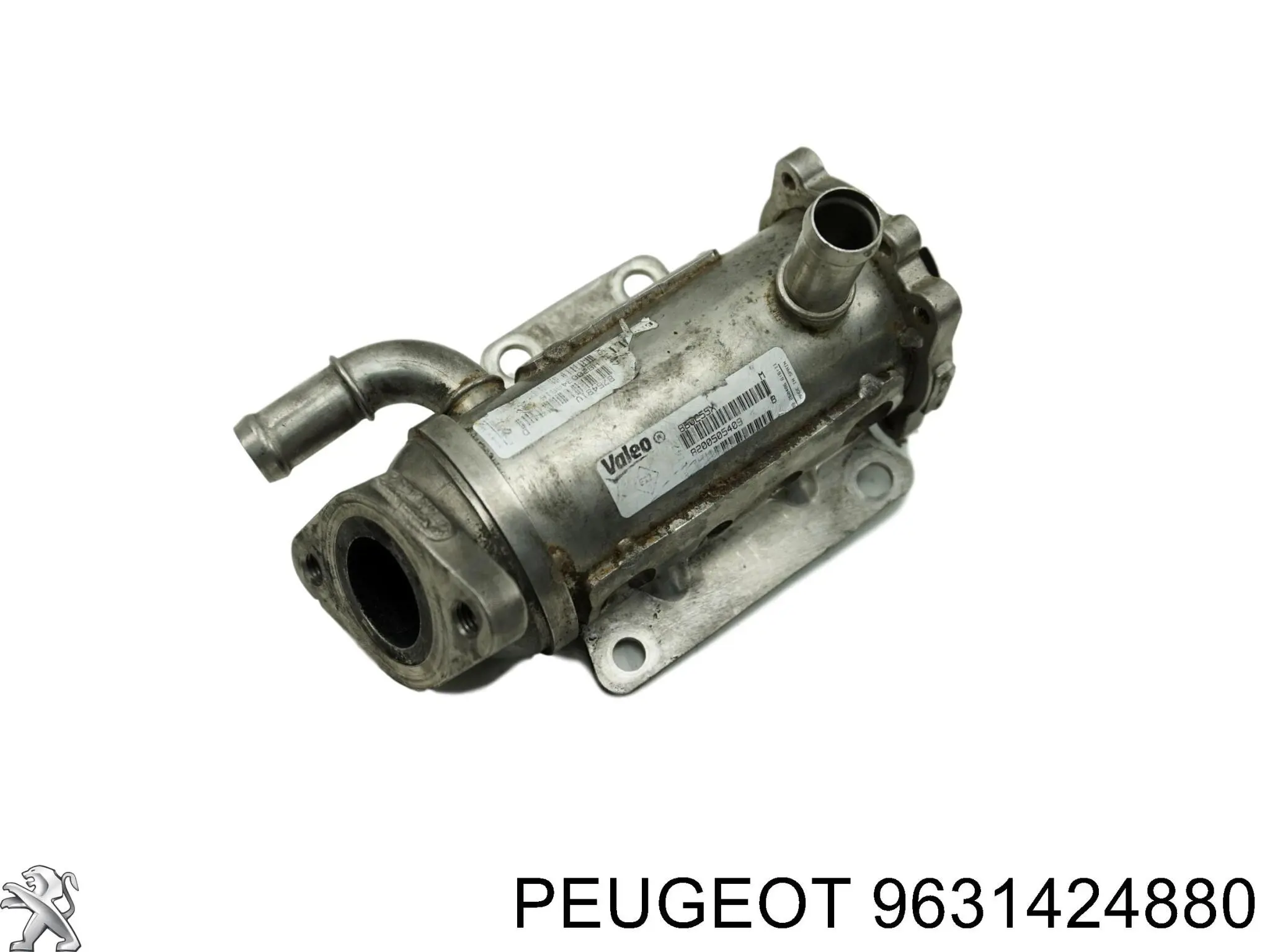 Купити 9631424880 Peugeot/Citroen 
