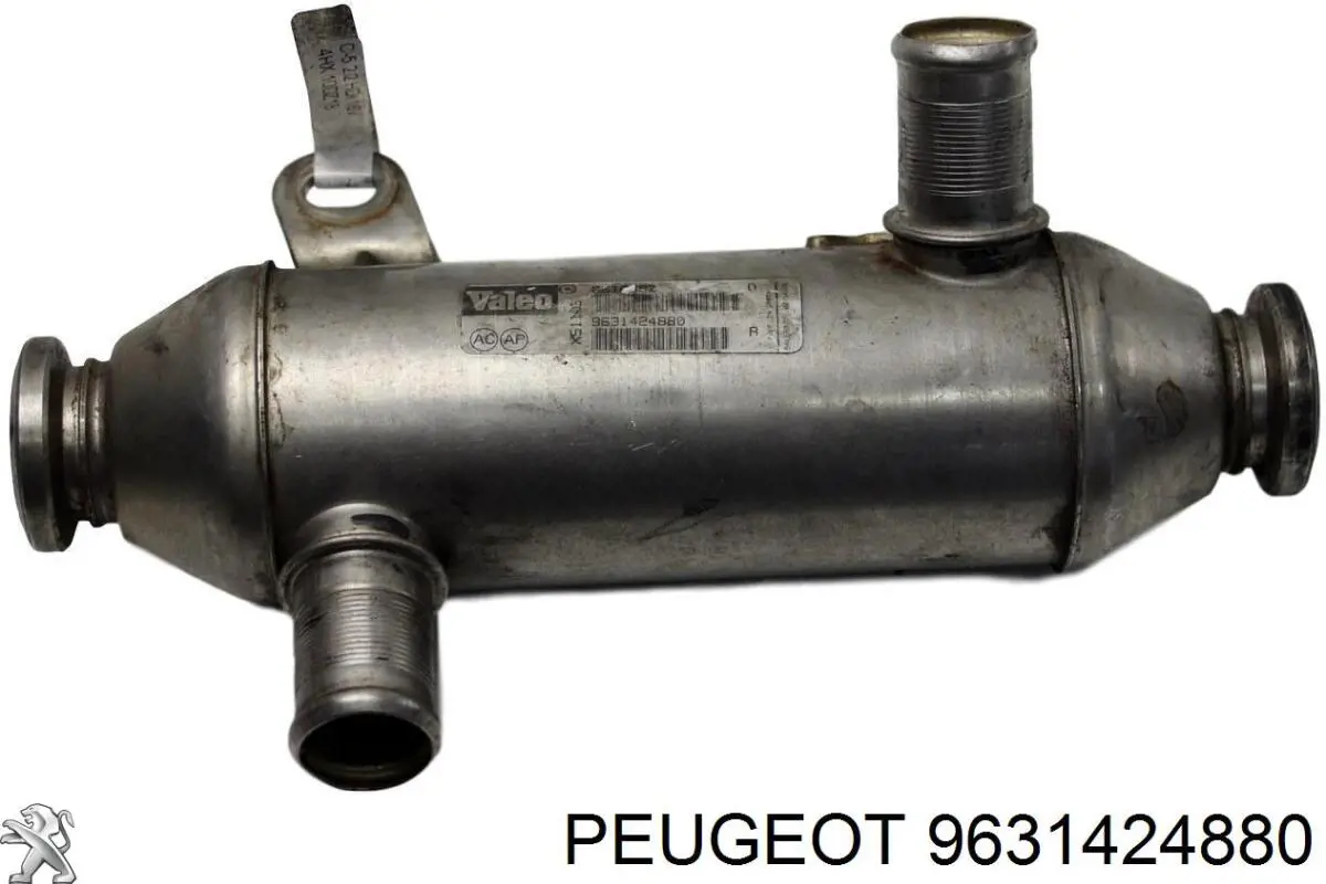  9631424880 Peugeot/Citroen