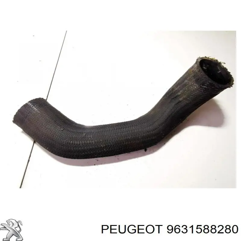 Купити 9631588280 Peugeot/Citroen 