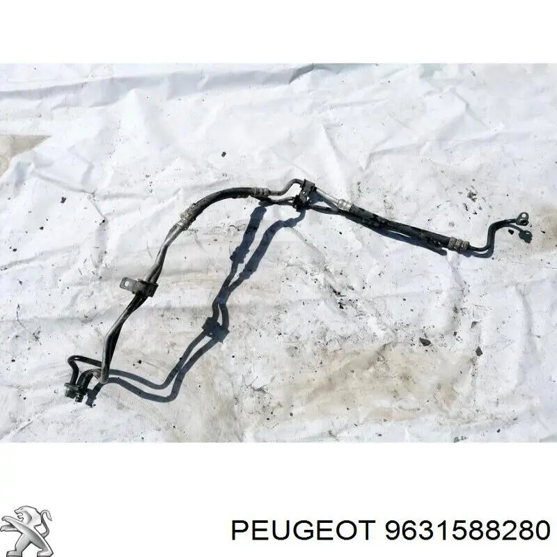 9631588280 Peugeot/Citroen 