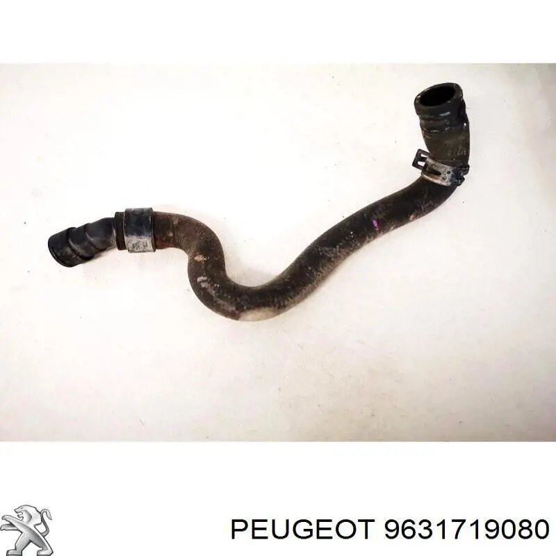 Купити 9631719080 Peugeot/Citroen 