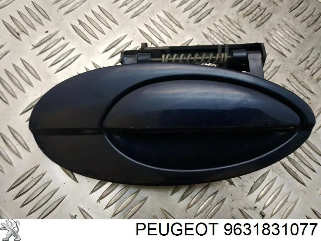 9631831077 Peugeot/Citroen 