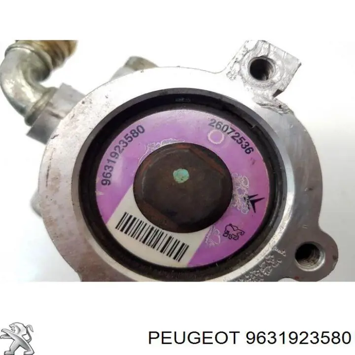 9631923580 Peugeot/Citroen Насос гідропідсилювача