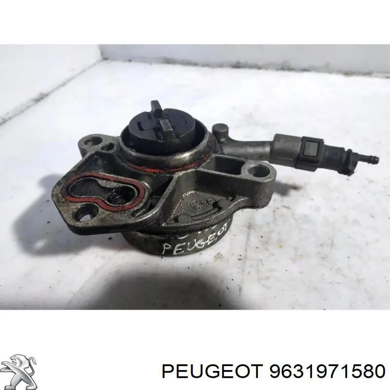 9631971580 Peugeot/Citroen Насос вакуумний