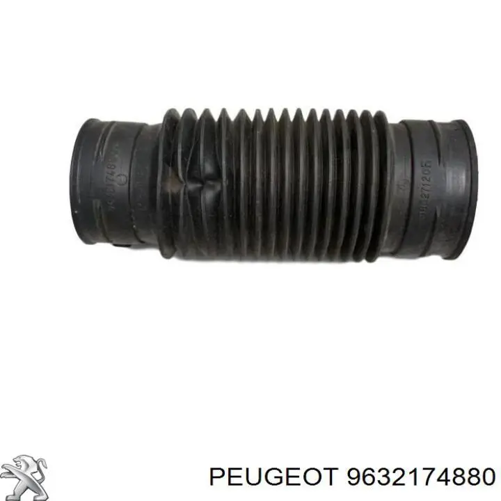 Купити 9632174880 Peugeot/Citroen 