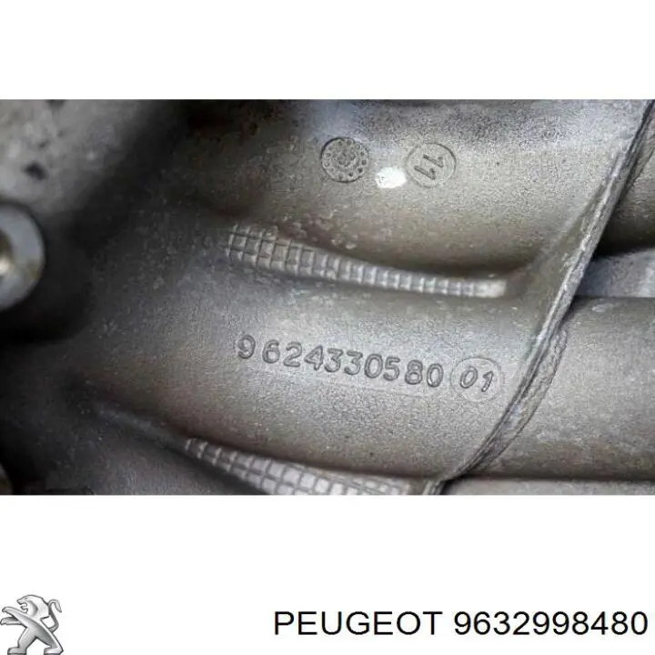 9632998480 Peugeot/Citroen 
