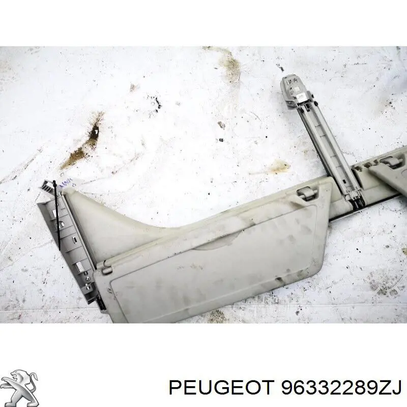 96332289ZJ Peugeot/Citroen 