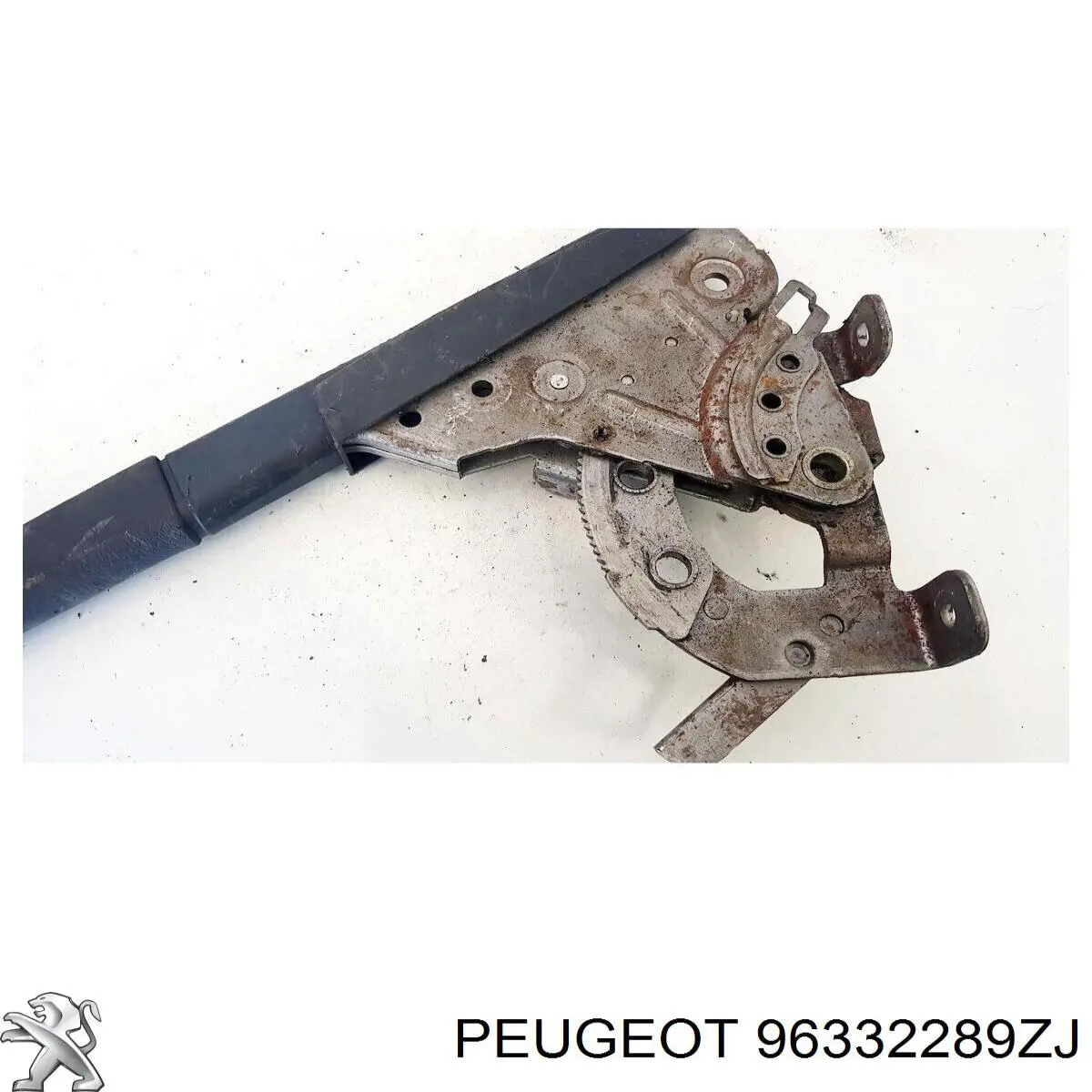  96332289ZJ Peugeot/Citroen