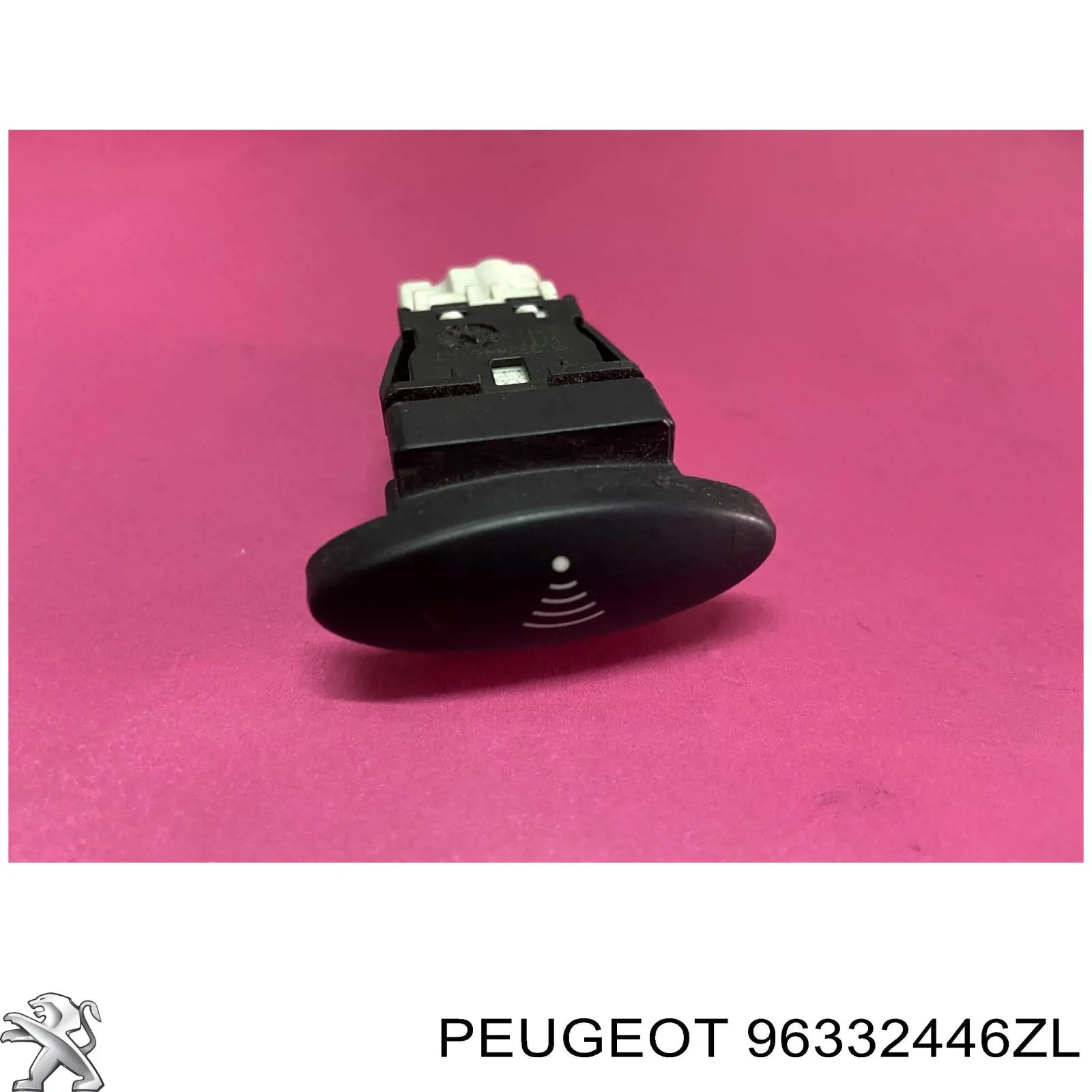  96332446ZL Peugeot/Citroen