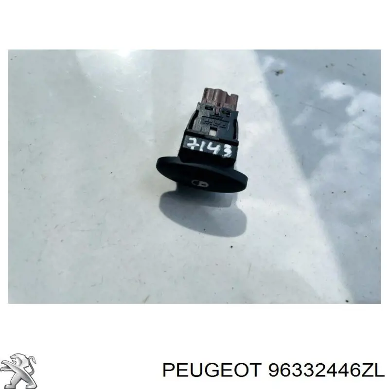 96332446ZL Peugeot/Citroen 