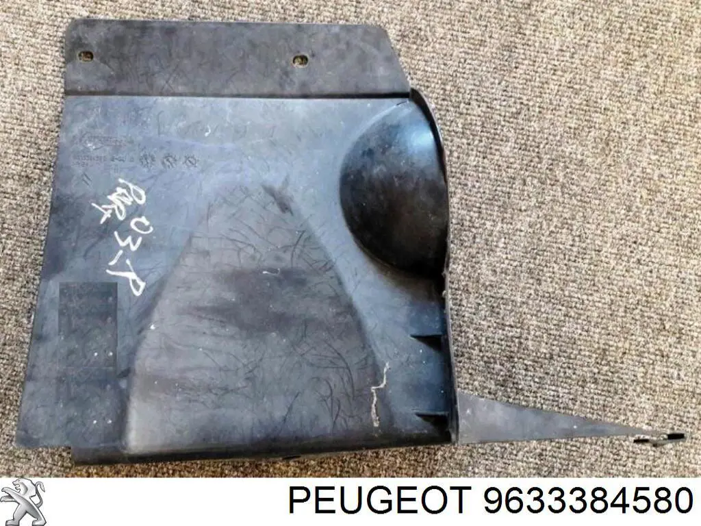 9633384580 Peugeot/Citroen 