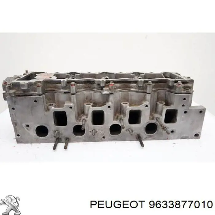 9633877010 Peugeot/Citroen 