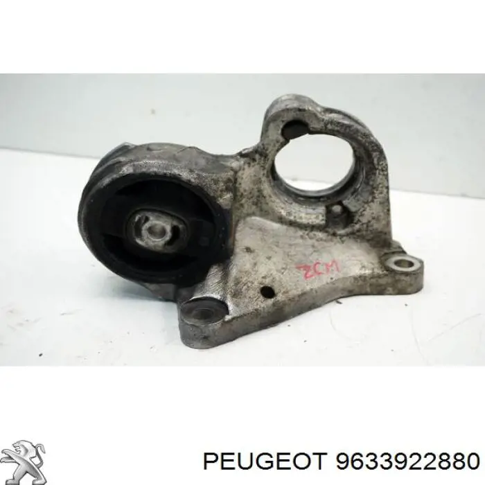 Купити 9633922880 Peugeot/Citroen 