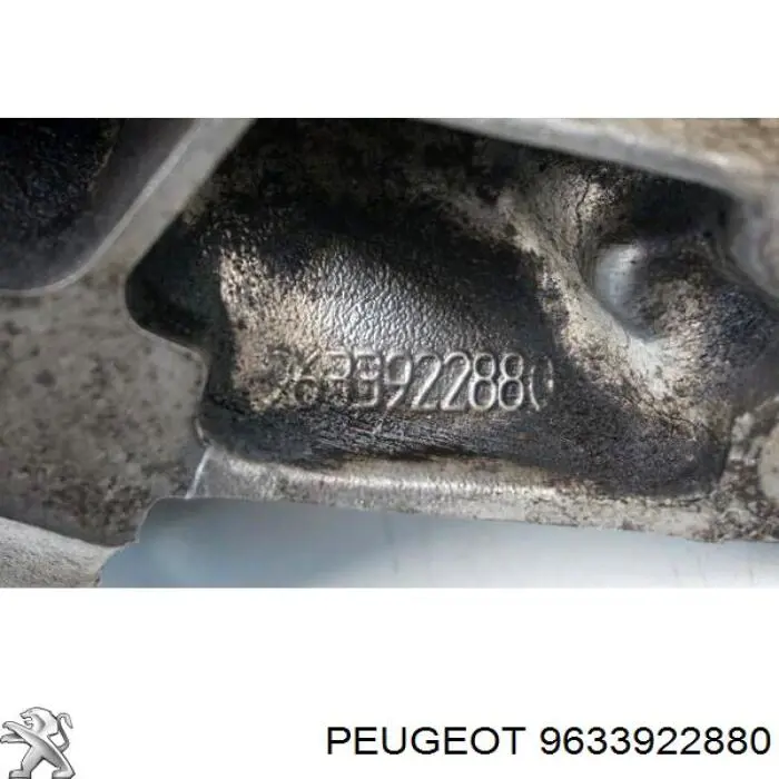 9633922880 Peugeot/Citroen 
