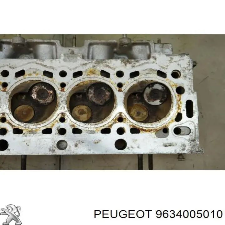  9634005010 Peugeot/Citroen
