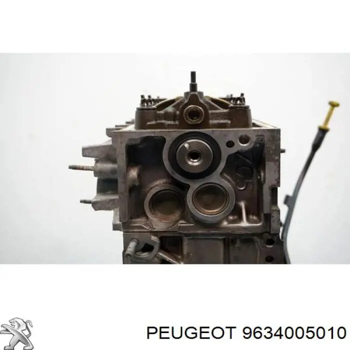 9634005010 Peugeot/Citroen 