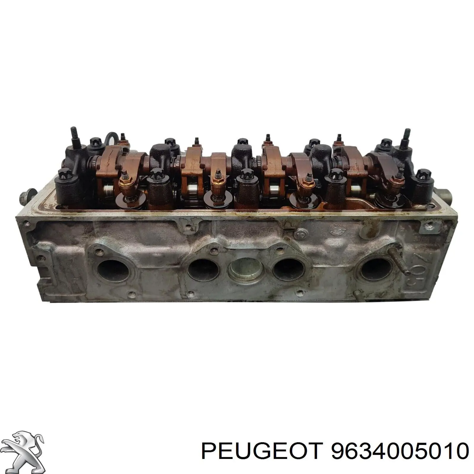9634005010 Peugeot/Citroen 