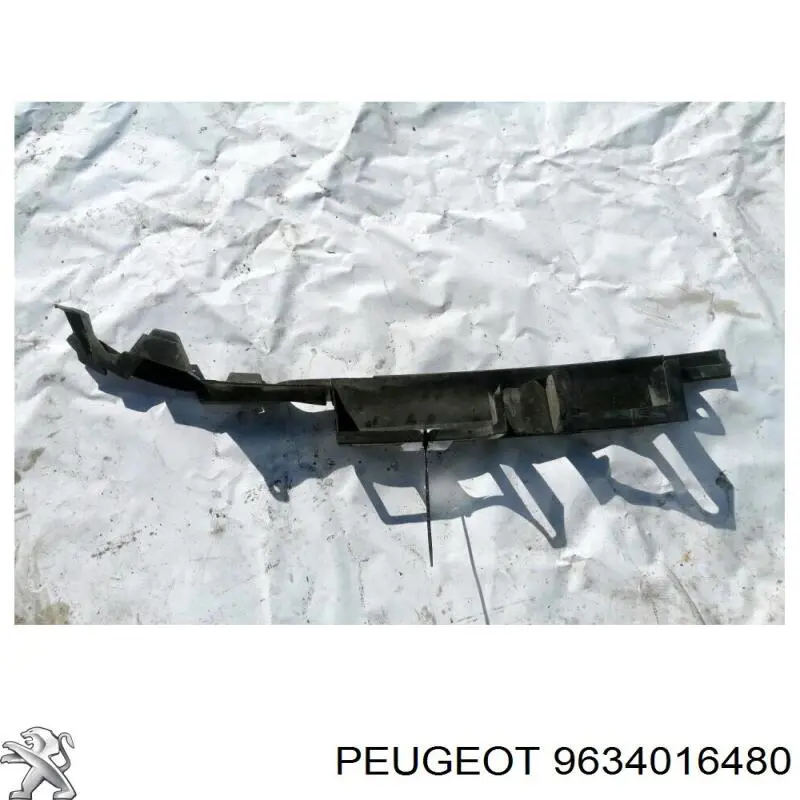 Купити 9634016480 Peugeot/Citroen 