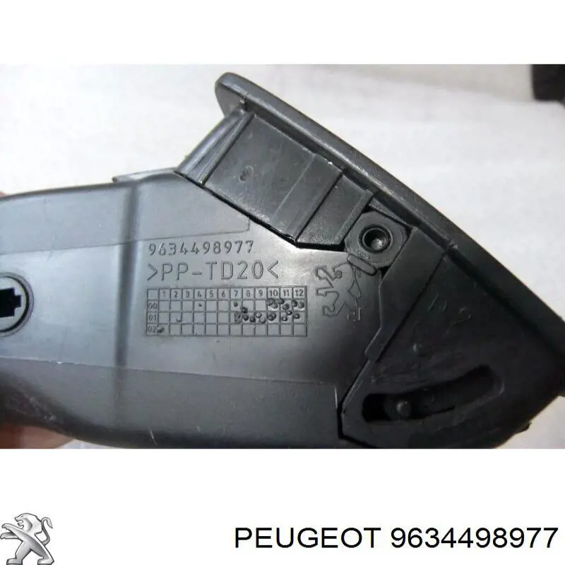 9634498977 Peugeot/Citroen 
