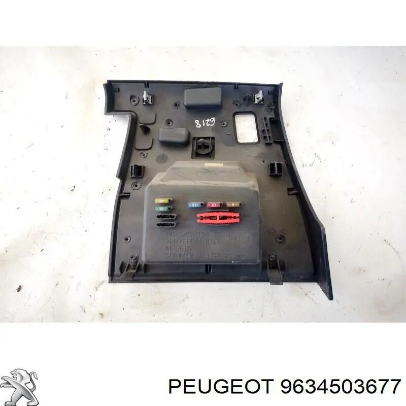 9634503677 Peugeot/Citroen
