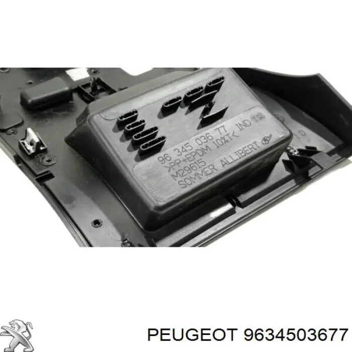 9634503677 Peugeot/Citroen 