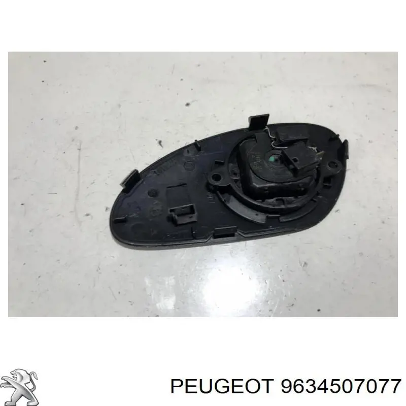 Купити 9634507077 Peugeot/Citroen 