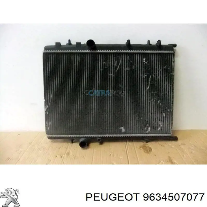  9634507077 Peugeot/Citroen