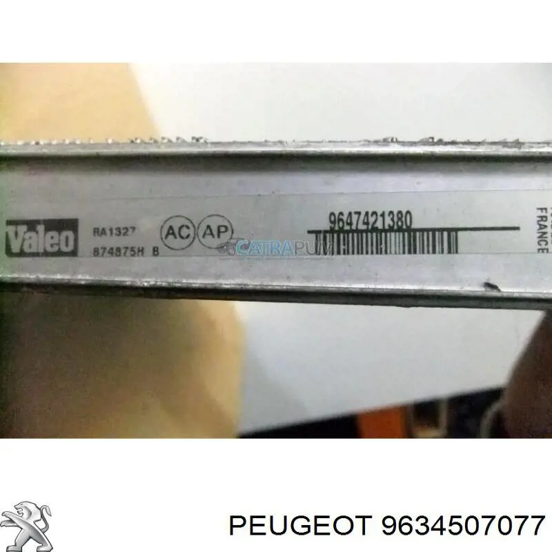 9634507077 Peugeot/Citroen 